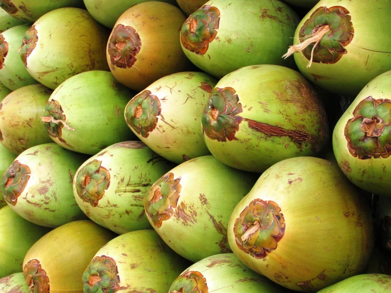 Bala de coco